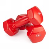 Гантель неразборная 5 кг. винил (2 штуки) VictoryFit VF-DV050-2