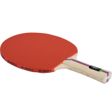 Ракетка для настольного тенниса KRAFLA HOBBY200