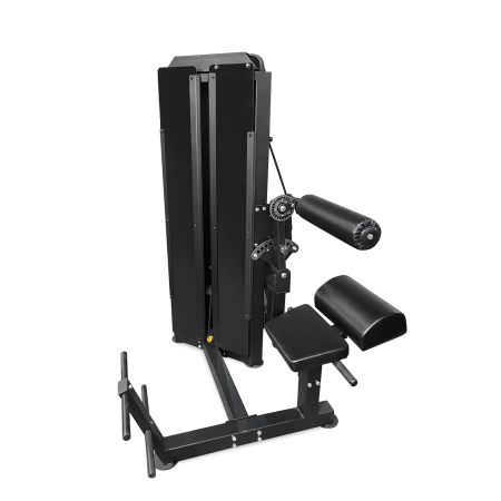 Разгибание спины профессиональный BRONZE GYM PARTNER ML-813