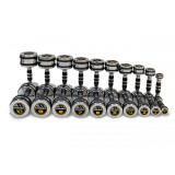 Комплект хромированных гантелей 10 пар от 1 до 10 кг Hasttings Digger HD51D5B-1-10