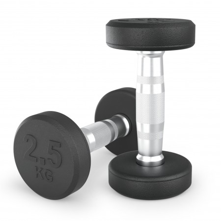 Гантель UNIX Fit PRO круглая обрезиненная 2,5 кг, 2 шт.