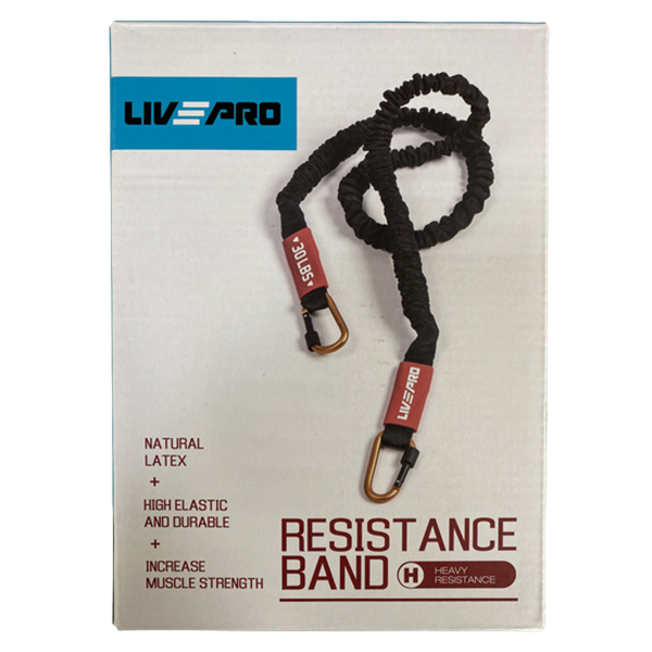 Эспандер с карабином LivePro LP8401 H