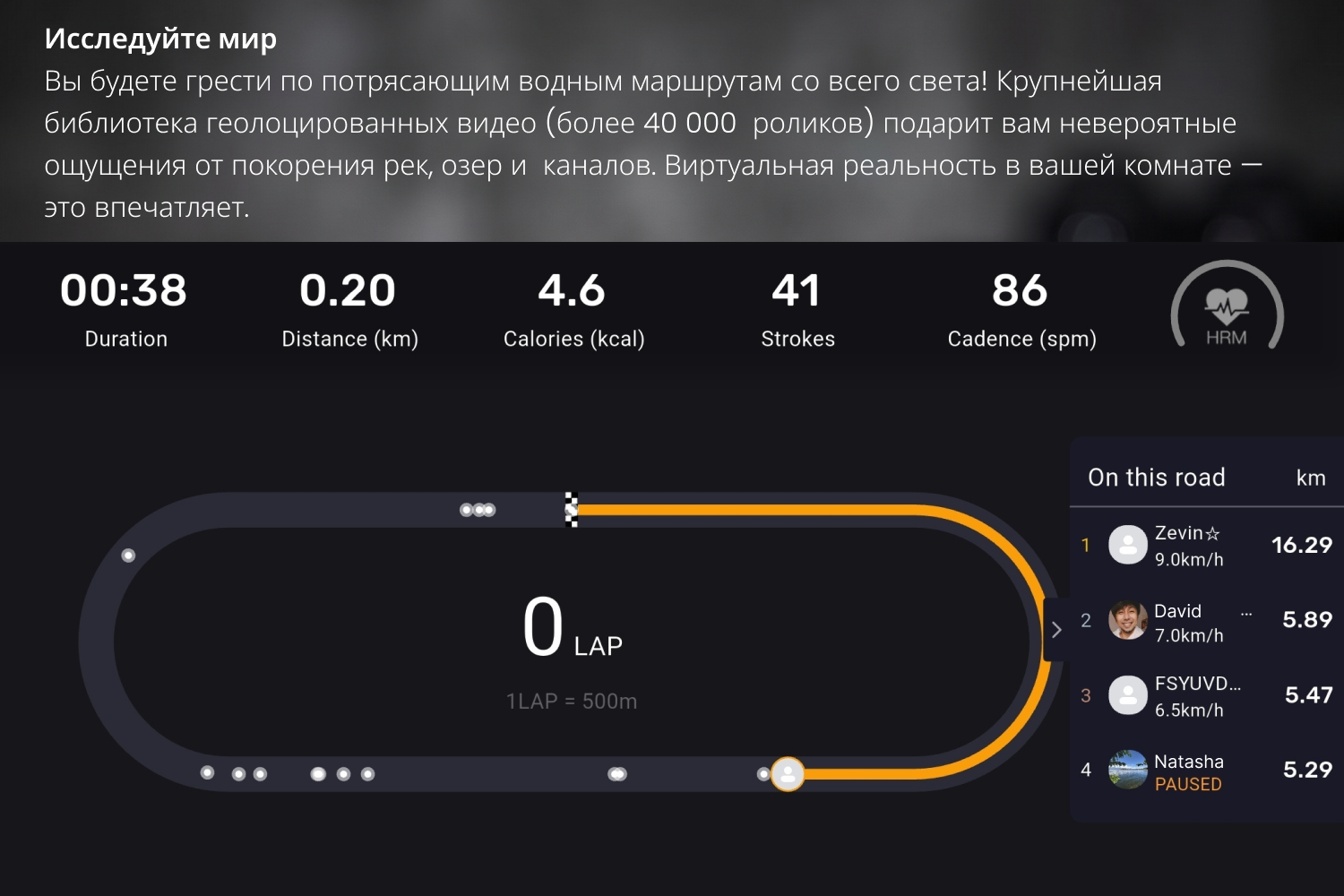 Водный гребной тренажер VF-WR803